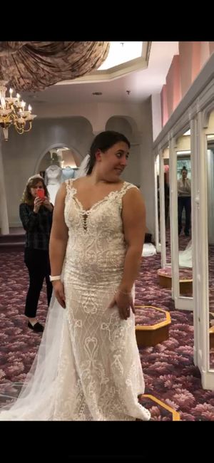 Help! i fell in love with two wedding dresses. - 2