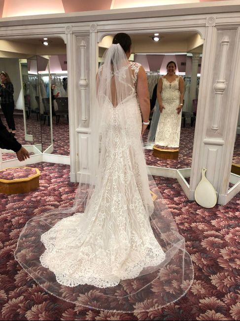 Help! i fell in love with two wedding dresses. 6