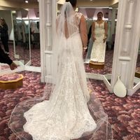 Help! i fell in love with two wedding dresses. - 2