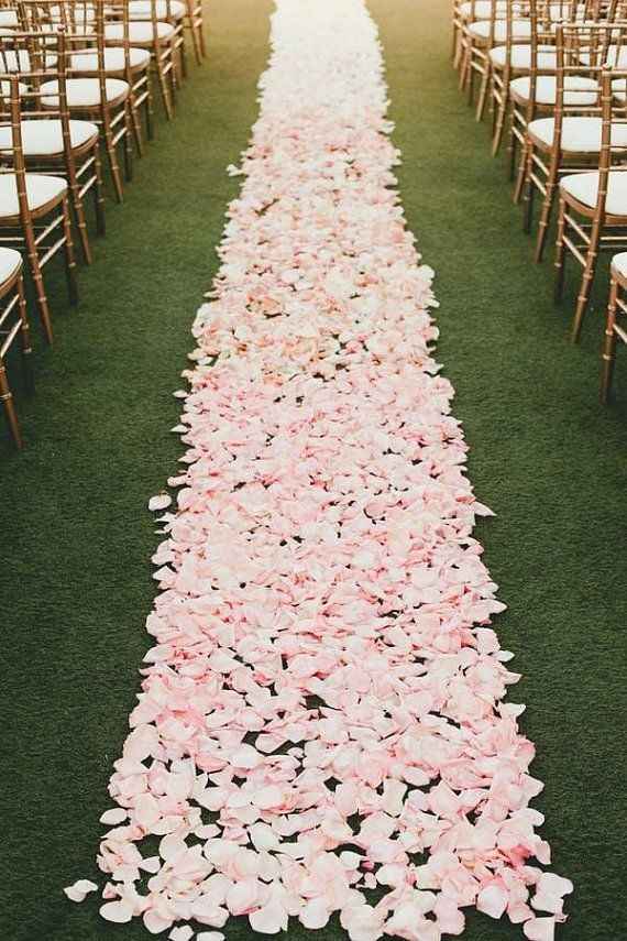 Flower petal aisle - 3