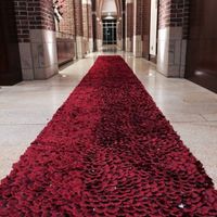Flower petal aisle - 1