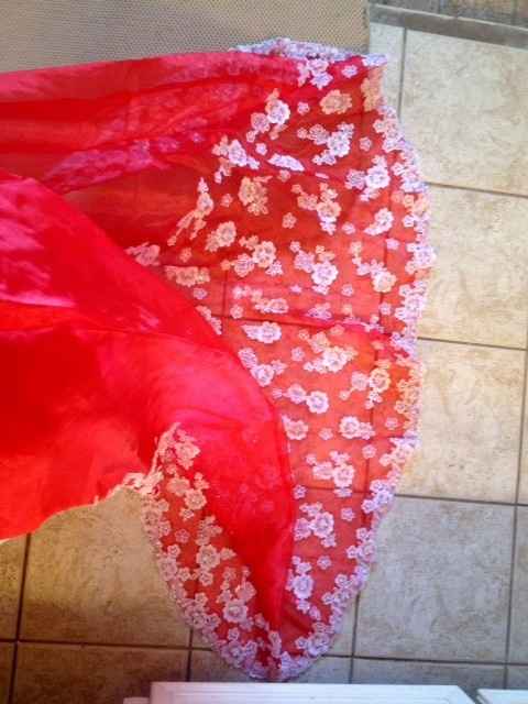 Vietnamese Wedding Dress (PICS)