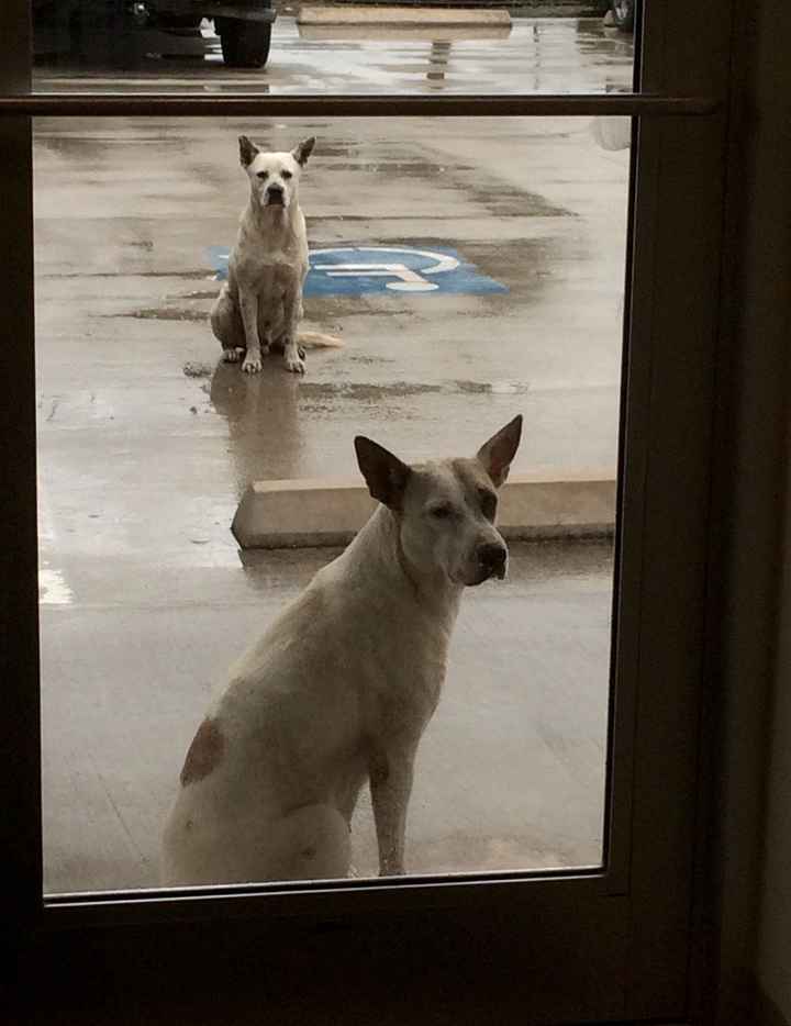 NWR kinda fur baby related? So excited!