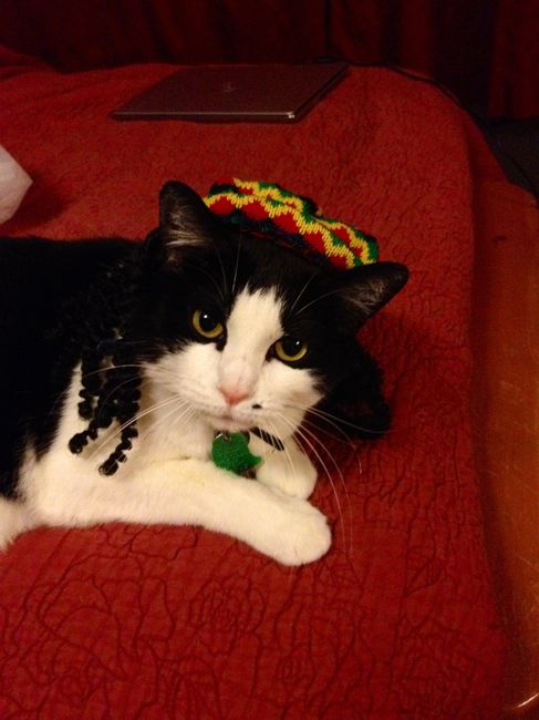 NWR: My four-legged child turns THREE today!!! *I want pics of yours*