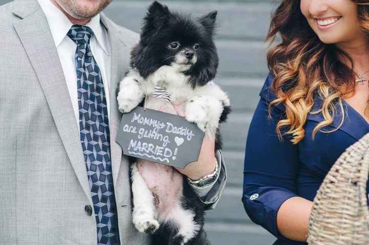 Wedding Planning Thus Far - SYTTD, E-pics, BMs, DIYs & more! (Pic Heavy)