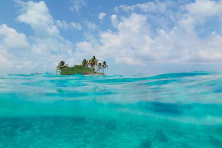 what are you working on today?