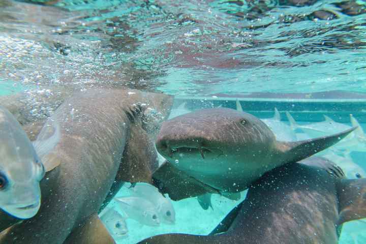 what are you working on today?