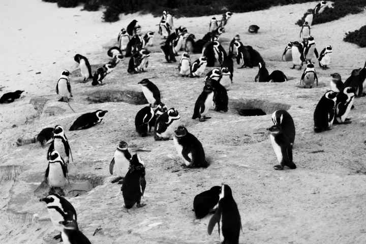 NWR: Favorite Vaca Photos w/ your S/O!