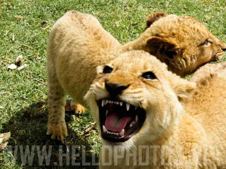 Anyone been to South Africa?