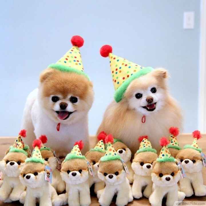 NWR: It's my birthday and I can cry if I want to!