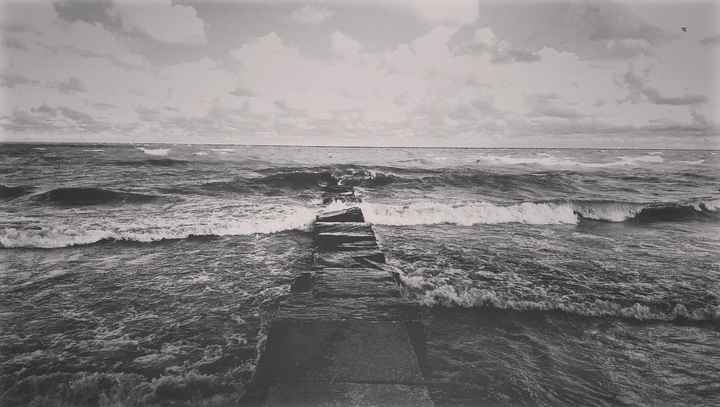 PSA - Totally Disgusted: "Photographer"