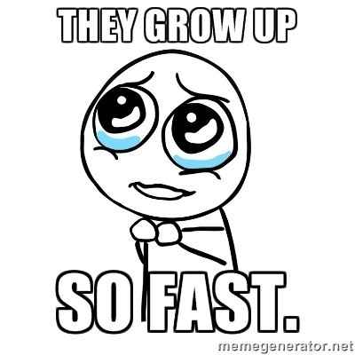 My suit fitting, FG, and updates--ONLY 6 DAYS (until we leave for the beach).