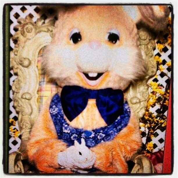 Brag Post - Pet Edition!