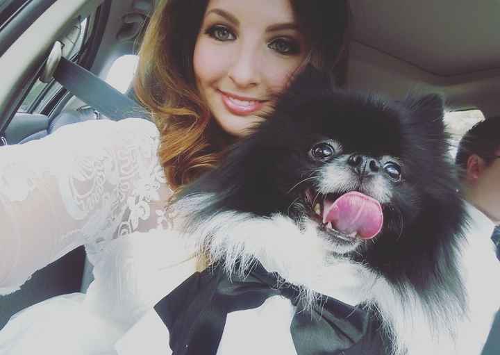 Seems like there are a lot of new people around...