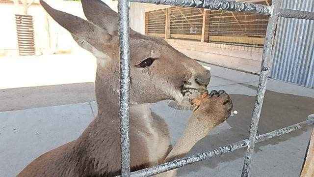 Back & Bacheloretted, biatches!