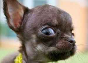 Extremely late intro!