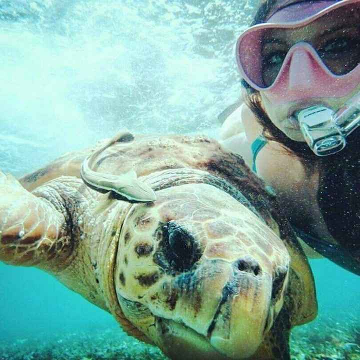 Travel Photos - Share Yours!