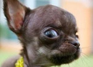 Extremely late intro!