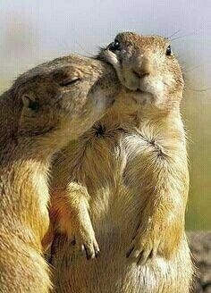 A year ago, today...