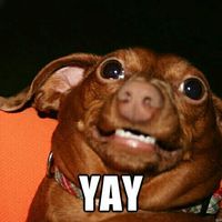 Fourth Staaaaar!!!!!