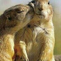 A year ago, today...