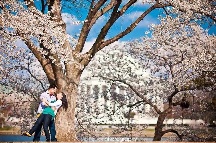 Engagement photo shoot -- what should FH wear?