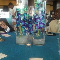 Back and married! With a non pro pics :)