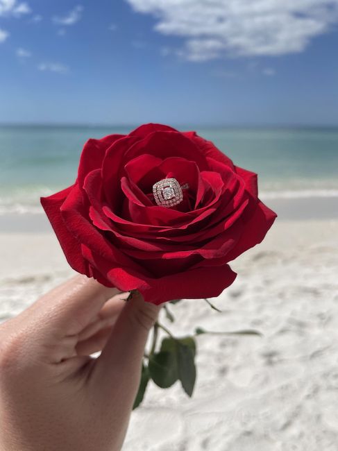 2023 Brides - Show us your ring! 3