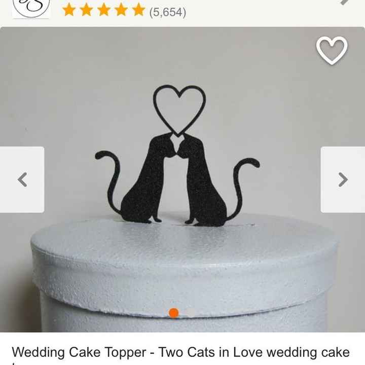 Crazy cat (or animal) people out there?