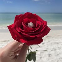 2023 Brides - Show us your ring! - 1