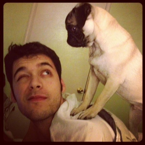 Furbabies (to lighten the mood)