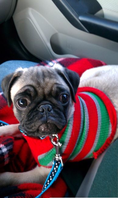 We've seen your rings, your dresses, your jewels.... show me your