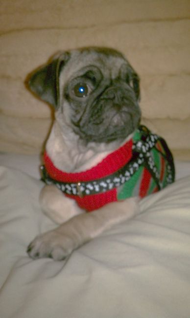 We've seen your rings, your dresses, your jewels.... show me your