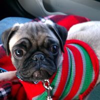 We've seen your rings, your dresses, your jewels.... show me your