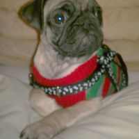 We've seen your rings, your dresses, your jewels.... show me your