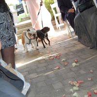 Non Pro BAM - teaser pics