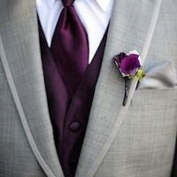 50 shades of purple