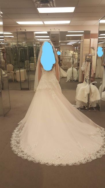 The dress from the back