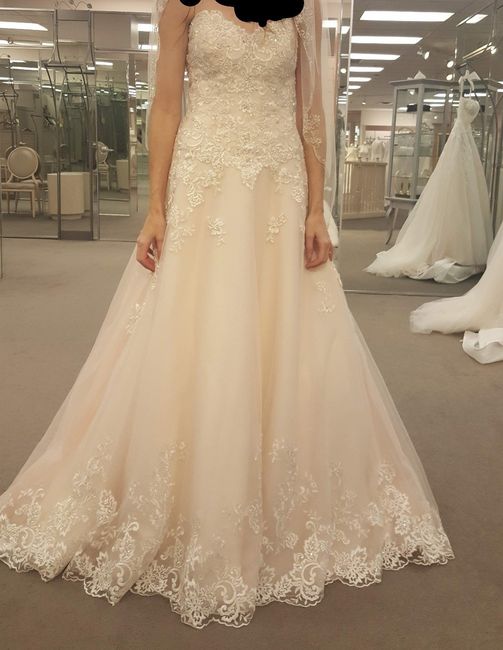Davids Bridal dresses, cheap? 2