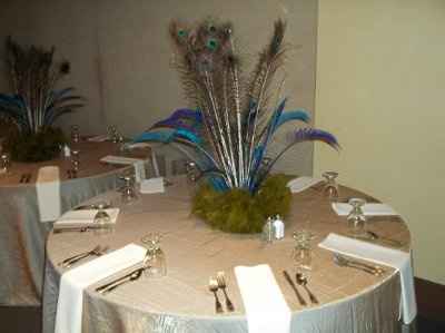 Peacock Brides - I need help with centerpieces!