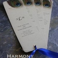I want to see pictures of your programs