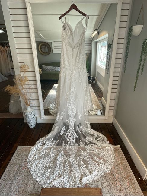 Wedding veil?? 1
