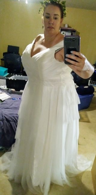 My Dress Arrived 1