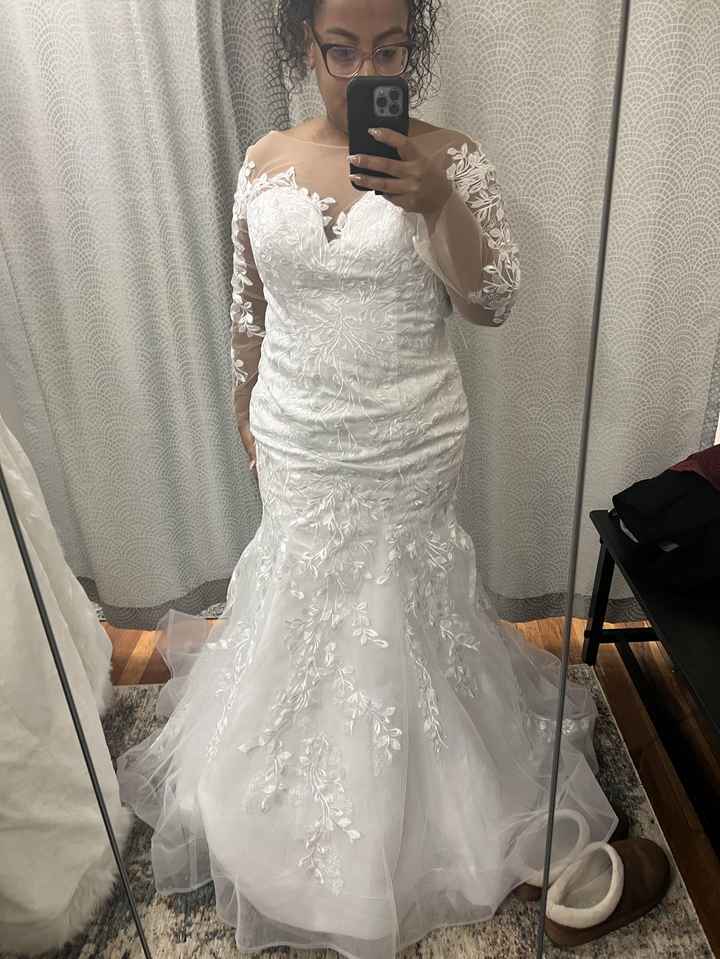 Disillusioned Mesh - 1