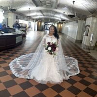 Disillusioned Mesh - 1