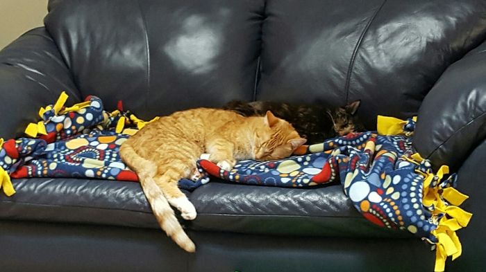 Spinoff: Show us your rescues!