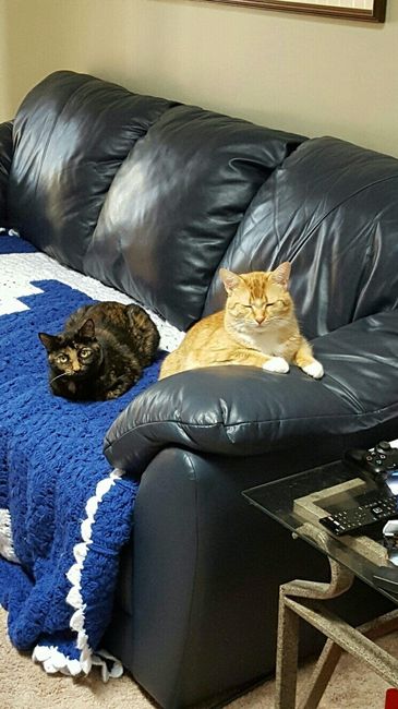 NWR- pets! We love them show me yours :)
