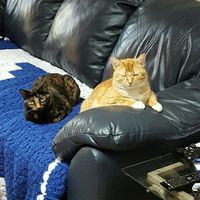 NWR- pets! We love them show me yours :)