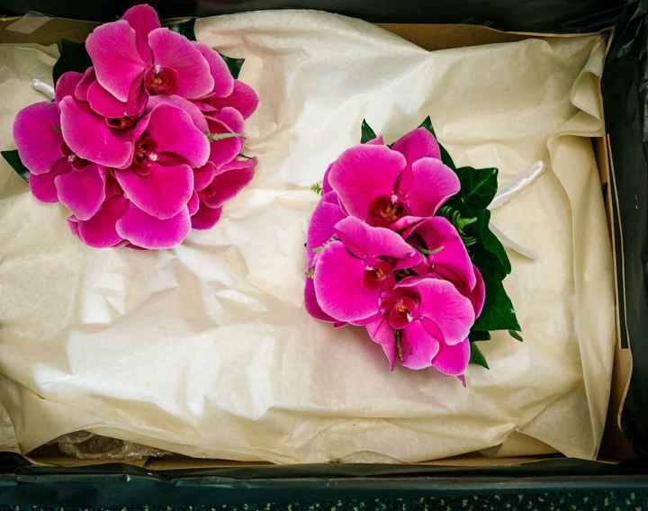 Cost of flowers and repurposing - 5