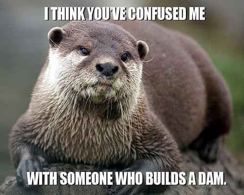 Tickled Tuesday
